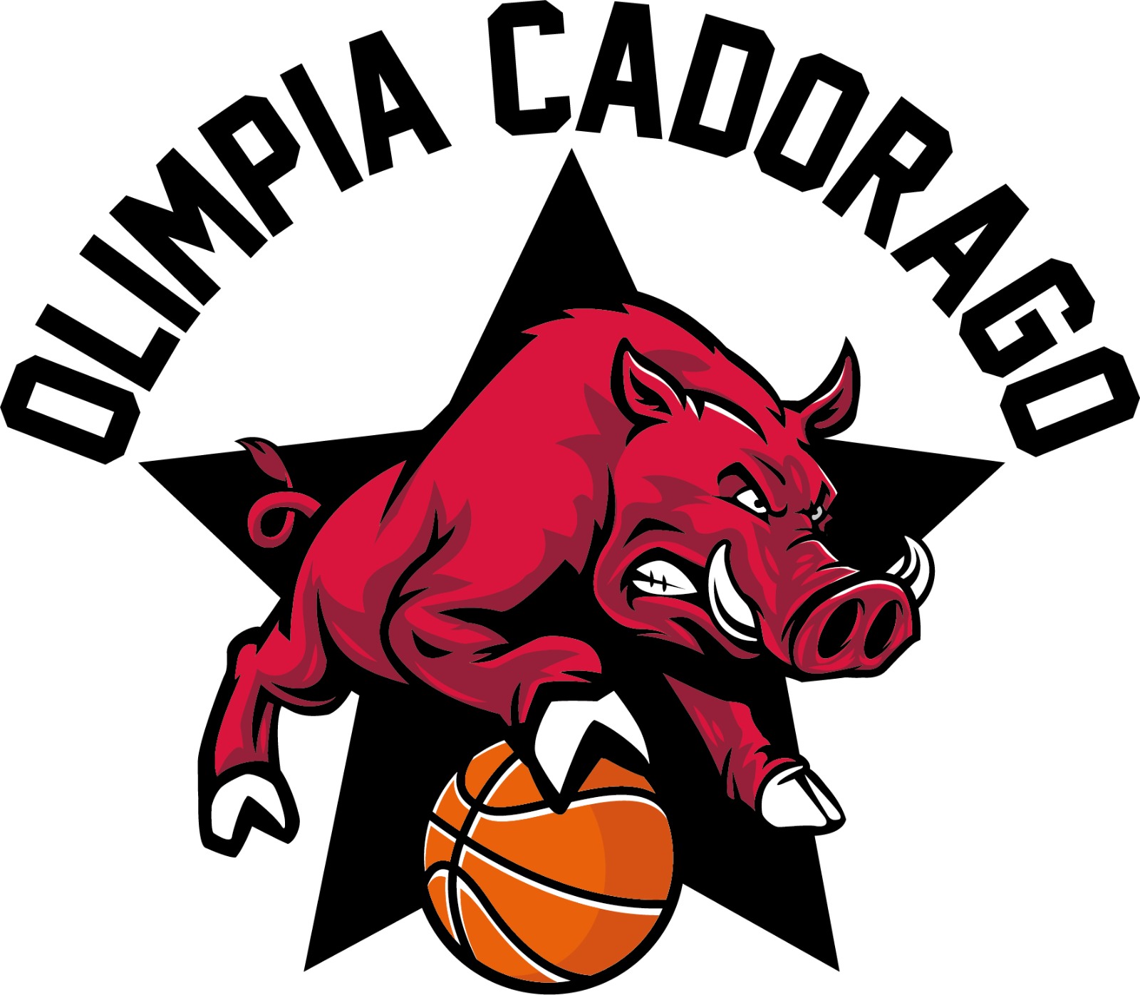 olimpia cadorago asd